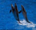 Группа дельфинов прыжки